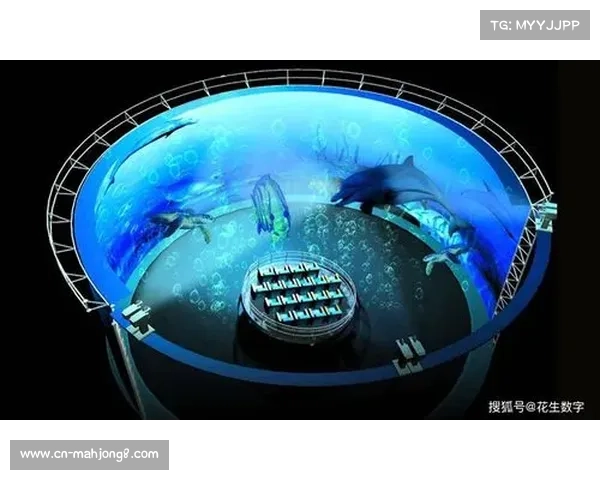 世界跳水系列赛推出全息投影观赛平台引领沉浸式观赛新体验
